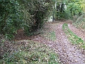 futur trail 007